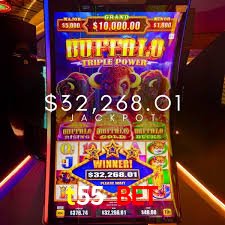 Cadastro rápido e seguro na t55 bet